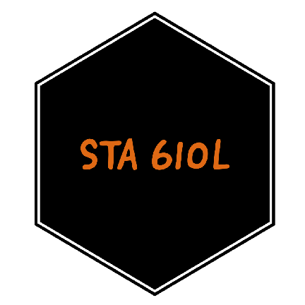 Sta 602l Spring 2021 - Elegant City Photo - 8K