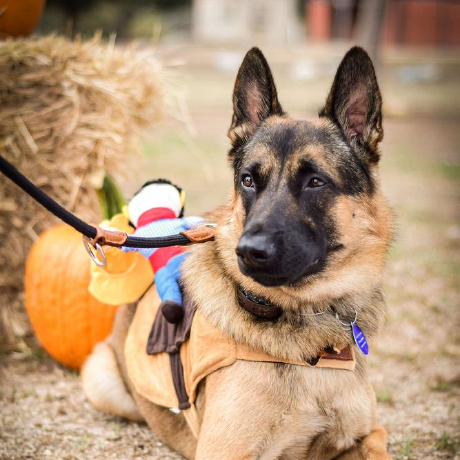 Mcjauregui Christine Jauregui Github - Ultra HD HD Space Designs | Free Download