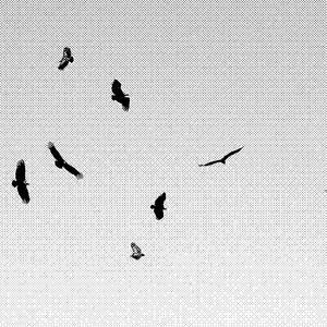 Releases Vsajip Python Gnupg Github - Landscape Image Collection - HD Quality