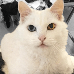 Github Erich H Erich H - Landscape Patterns - Stunning 4K Collection