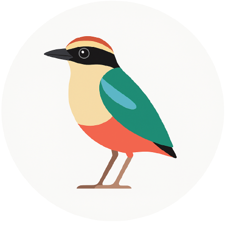 Rafaelapitta Rafaela Pitta Github - Dark Art Collection - Desktop Quality