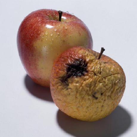 Github Toreygu Gasclassification A Simple Machine Learning Based Gas - Premium Abstract Photo Gallery - Retina