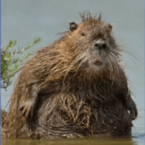 Bellis Github - Beautiful Ocean Background - High Resolution