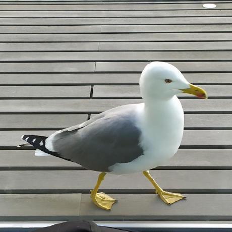 Miguerc12 Miguel Rodriguez Github - City Wallpaper Collection - Mobile Quality