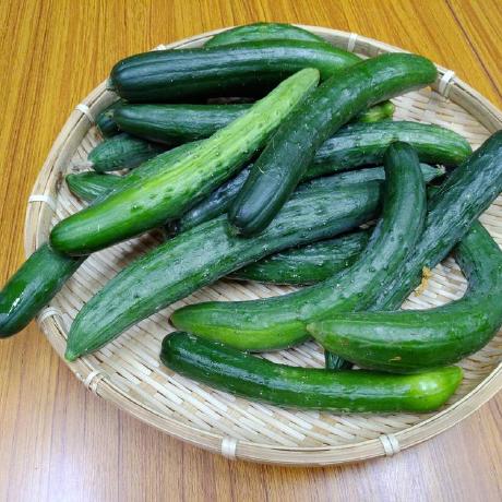 Github Hiroki Yod Imaginary Diary 2 - Professional Desktop Mountain Illustrations | Free Download