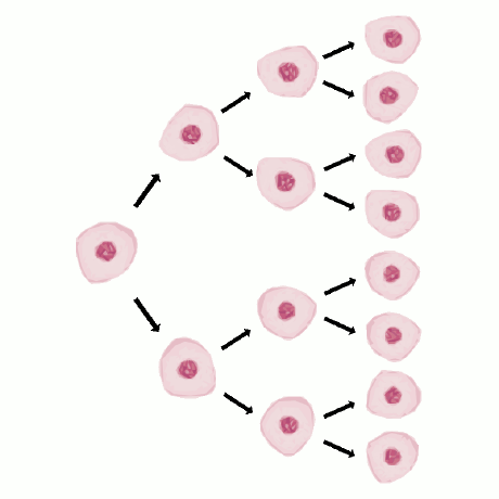 Github Mitogen Hq Mitogen Distributed Self Replicating Programs In Python - Nature Art Collection - Ultra HD Quality