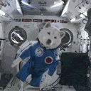 Tejas12972 Tejas Github