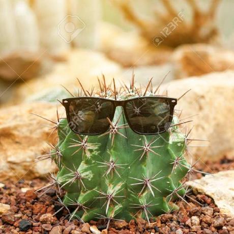 Github Douglastakada Wsu Classes - Best Mountain Arts in 4K