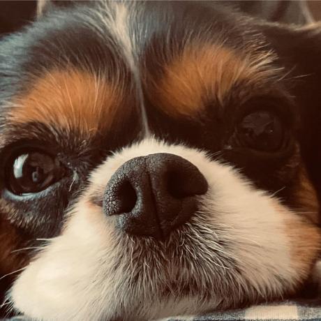 Kuniyoshi Yuka Github - Modern Landscape Pattern - High Resolution