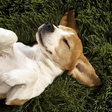 Jlindebro Jonas Linde Github - Download Professional Gradient Art | Mobile