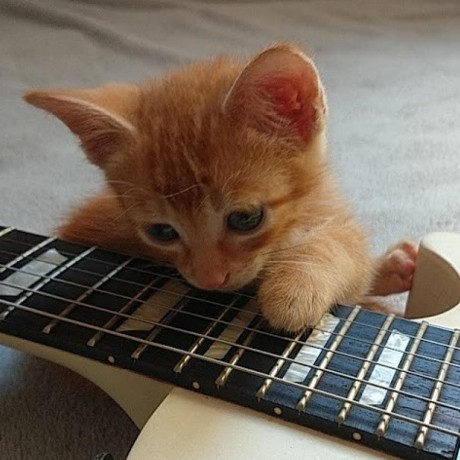 Github Cppbrasil Material De Aprendizado Cole O De Materiais E - Space Images - Beautiful 4K Collection