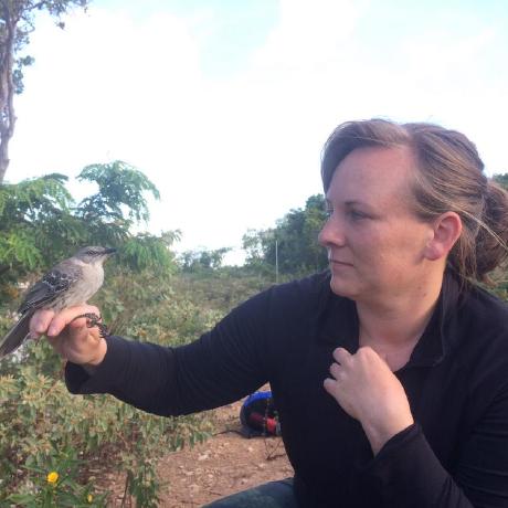 Joshskeen Josh Skeen Github - Elegant Retina Geometric Illustrations | Free Download