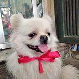 Github Nicejjss Workspace - Gorgeous Space Picture - Desktop