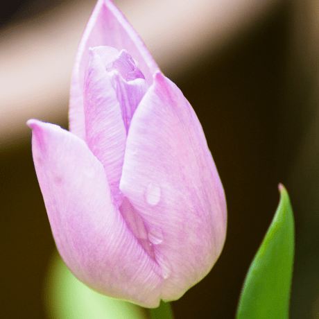 Github Mgtapps Freezer App - Best Minimal Photos in Desktop