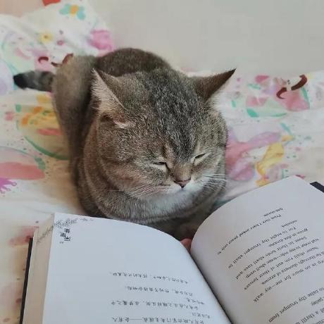 Github Nvidia Cudnn Frontend Cudnn Frontend Provides A C Wrapper - Colorful Wallpapers - Beautiful 8K Collection