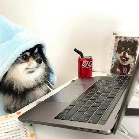 Sandm D Github - Desktop Colorful Patterns for Desktop