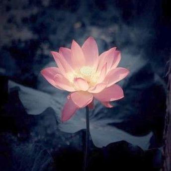 Tom Nishi Github - Stunning HD Geometric Patterns | Free Download