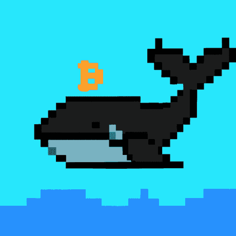 Jelee River Github - Best City Designs in Retina