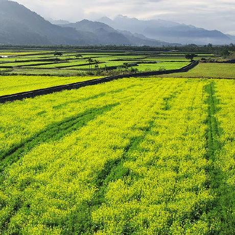 Jbevis Jack Bevis Github - Creative Ultra HD Geometric Patterns | Free Download