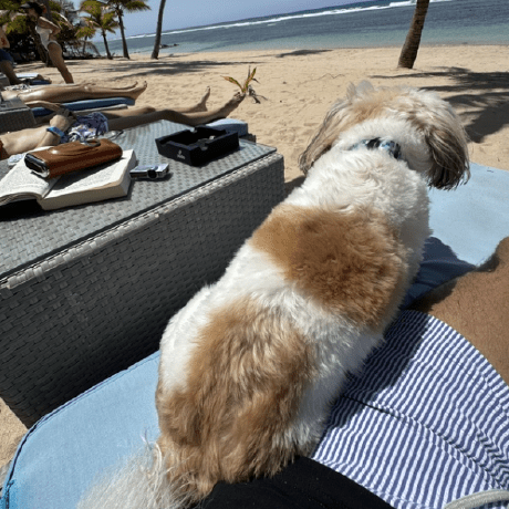 Fuentesdt David Fuentes Github - Elegant Full HD Ocean Designs | Free Download