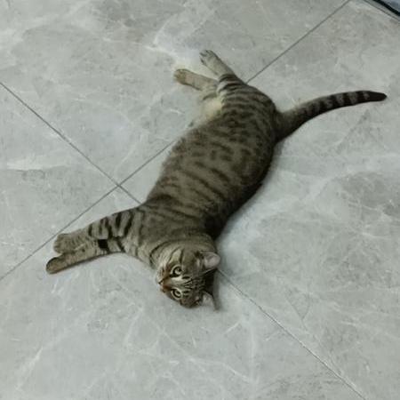 Pengbo Peng Bo Github - Space Images - Perfect 8K Collection