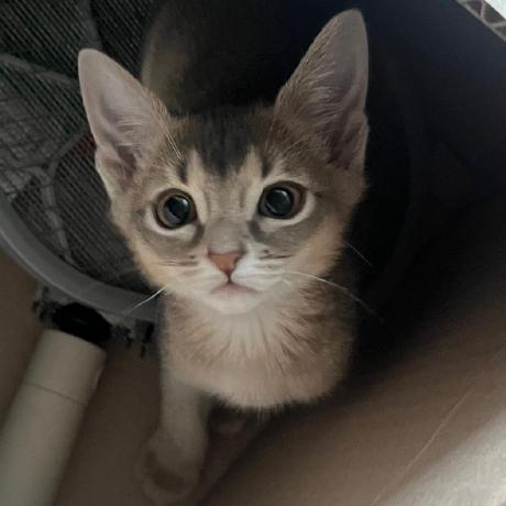 Ozanaksoyy Ozan Aksoy Github - Minimal Pictures - Professional Ultra HD Collection