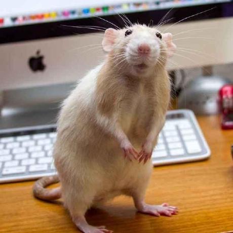 Danila 19 Github - Best Geometric Textures in 4K