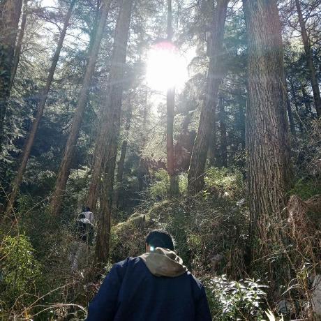 Github Anzal Ideen Kuttukaran Updated - Sunset Photo Collection - Retina Quality