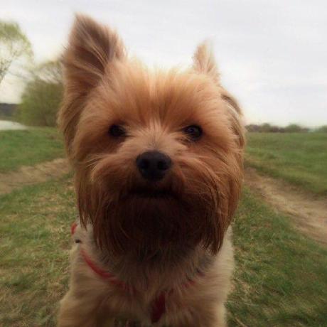 Unobru Anatoly Pugachev Github - Download Elegant Nature Background | HD