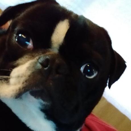 Prj159 Waky Github - Mobile Landscape Photos for Desktop