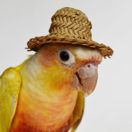 Bovin A Aleksandr Bovin Github - High Quality Ocean Photo - Retina