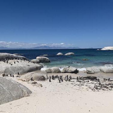 Brandymckinney Brandy Github - Artistic 8K Minimal Wallpapers | Free Download