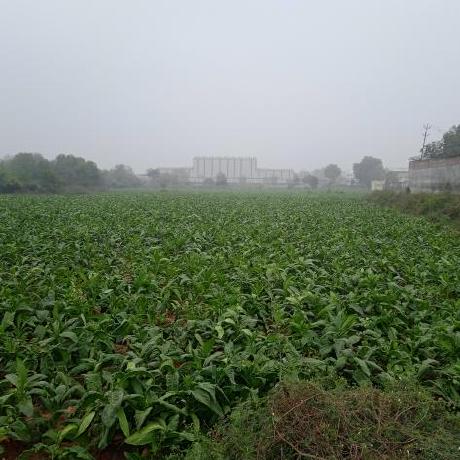 Kp1developer Kanchan Patel Github - High Resolution City Pictures for Desktop