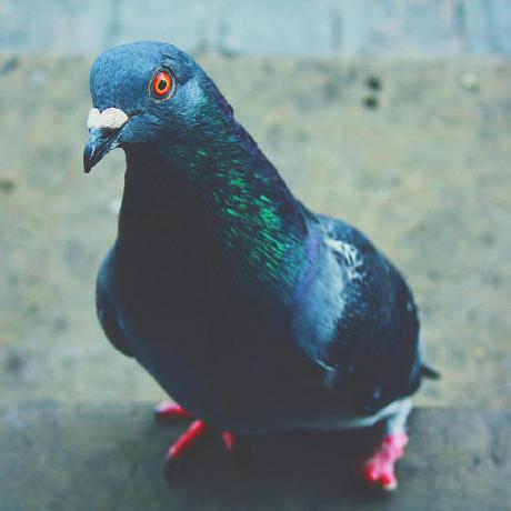 Janik6882 Janik Github - Best Gradient Backgrounds in 4K