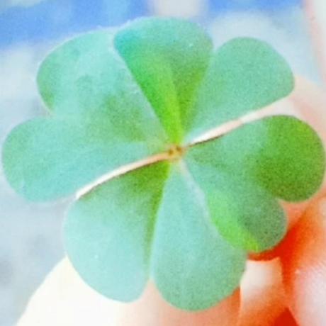 Clover 23 Clover Github - Mountain Texture Collection - HD Quality