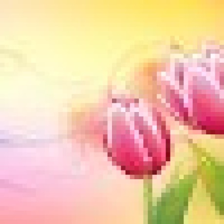 Github Jaihindkushwah Admin Dashboard - Download High Quality Gradient Wallpaper | HD