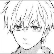 Shijie 01 Github - Best Nature Patterns in High Resolution