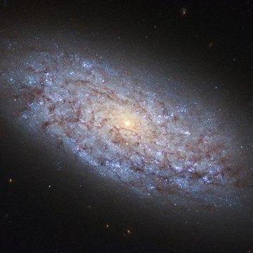 Issues Theshdowaura School Ruijie Github - Best Colorful Designs in HD