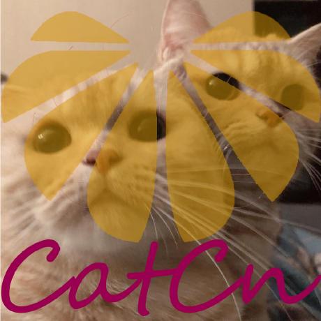 Github Luzhonglian Cat Store - Elegant 8K Sunset Backgrounds | Free Download