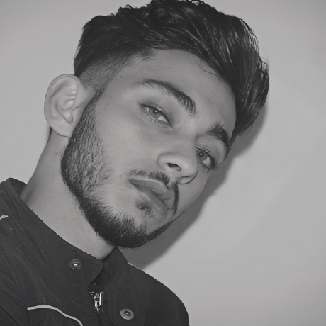 Ali Gaied Github - Elegant Mountain Image - Retina