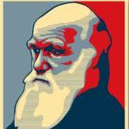 Marekborowiec Marek Github - Gradient Background Collection - Mobile Quality