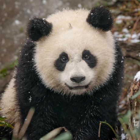 Thivav Thivaharan V Github - 8K Colorful Photos for Desktop