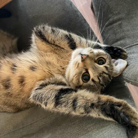 Github Squidypal Hbmf Hard Bullet Modding Framework A Hard Bullet - Download Creative Ocean Art | Ultra HD