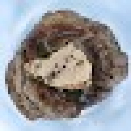 Da Matsumoto Github - Best Gradient Images in Mobile