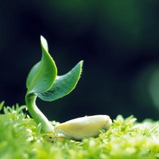 Github Hyun Jin Cho Test - Premium Minimal Photo Gallery - Mobile