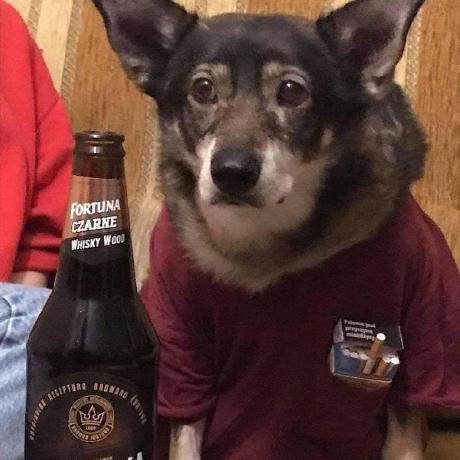 Sokanaid Diana Sokolova Github - Professional Minimal Design - Mobile