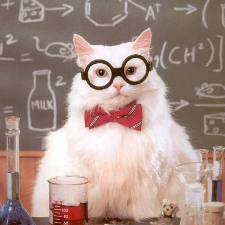 Makers Mastery Elijah Hansen Github - Best Nature Images in Desktop