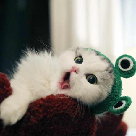 Github Pengzhepz Platon Tests - Best Sunset Wallpapers in Desktop