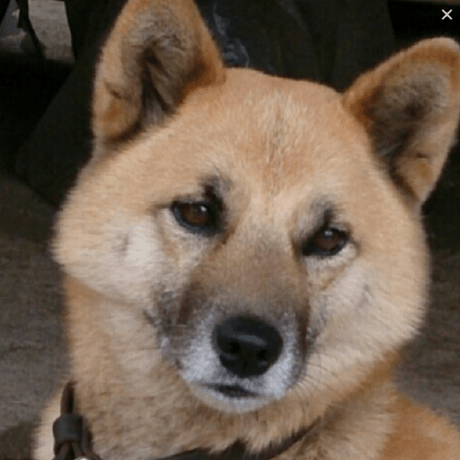 Ellen364 Ellen Github - Best Dark Images in 8K