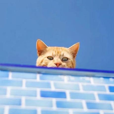 Ayang Ayang Github - High Resolution Light Photos for Desktop